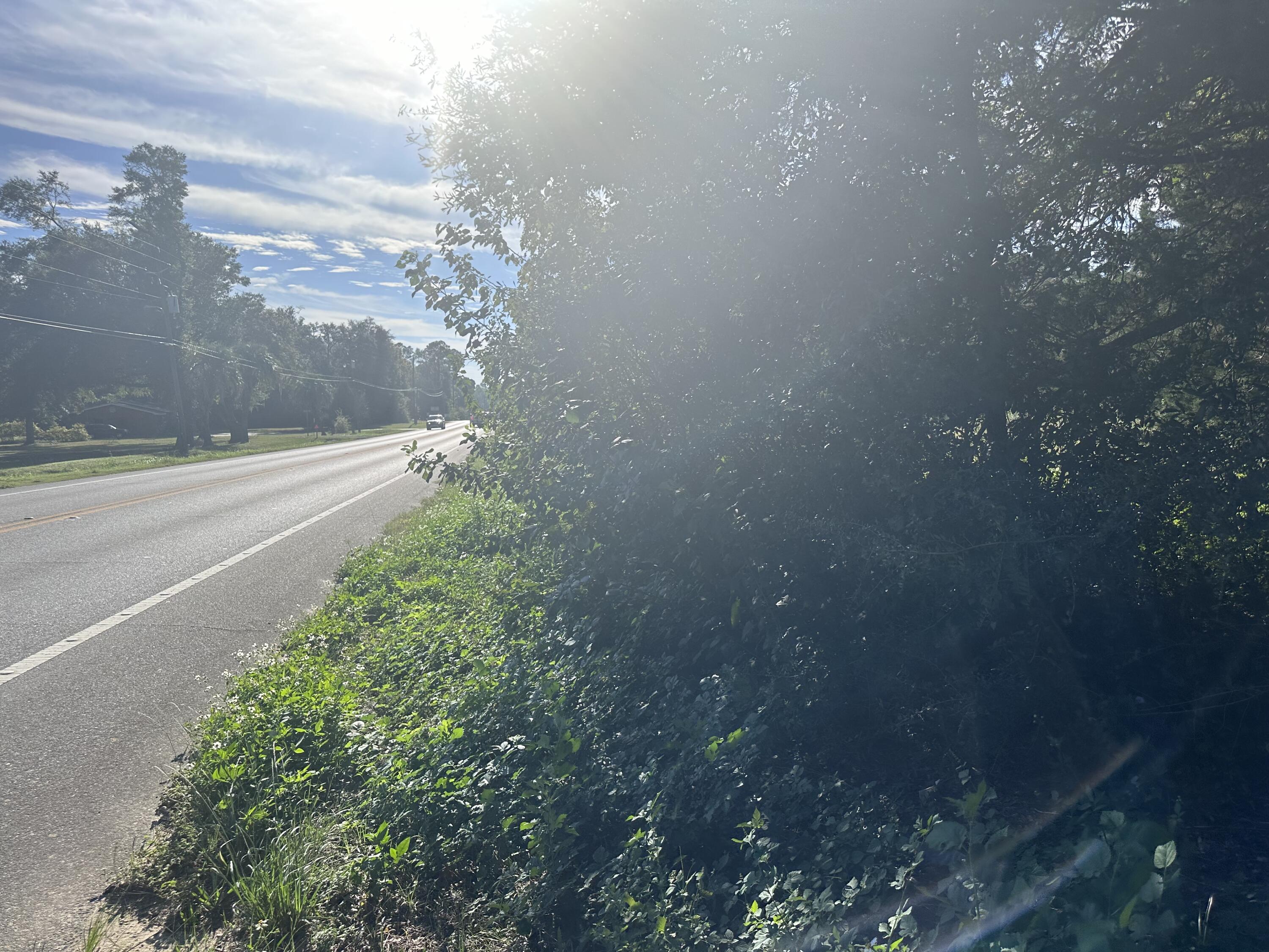 1816 Wadsworth Road Baker, FL 32531 - Photo 4 of 7 a view of a yard in a yard