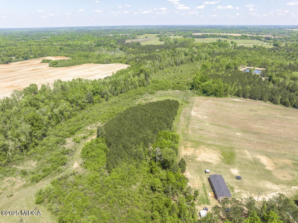 1779 Lucy Chapel Road Danville, GA 31017 - Photo 58 of 67 58