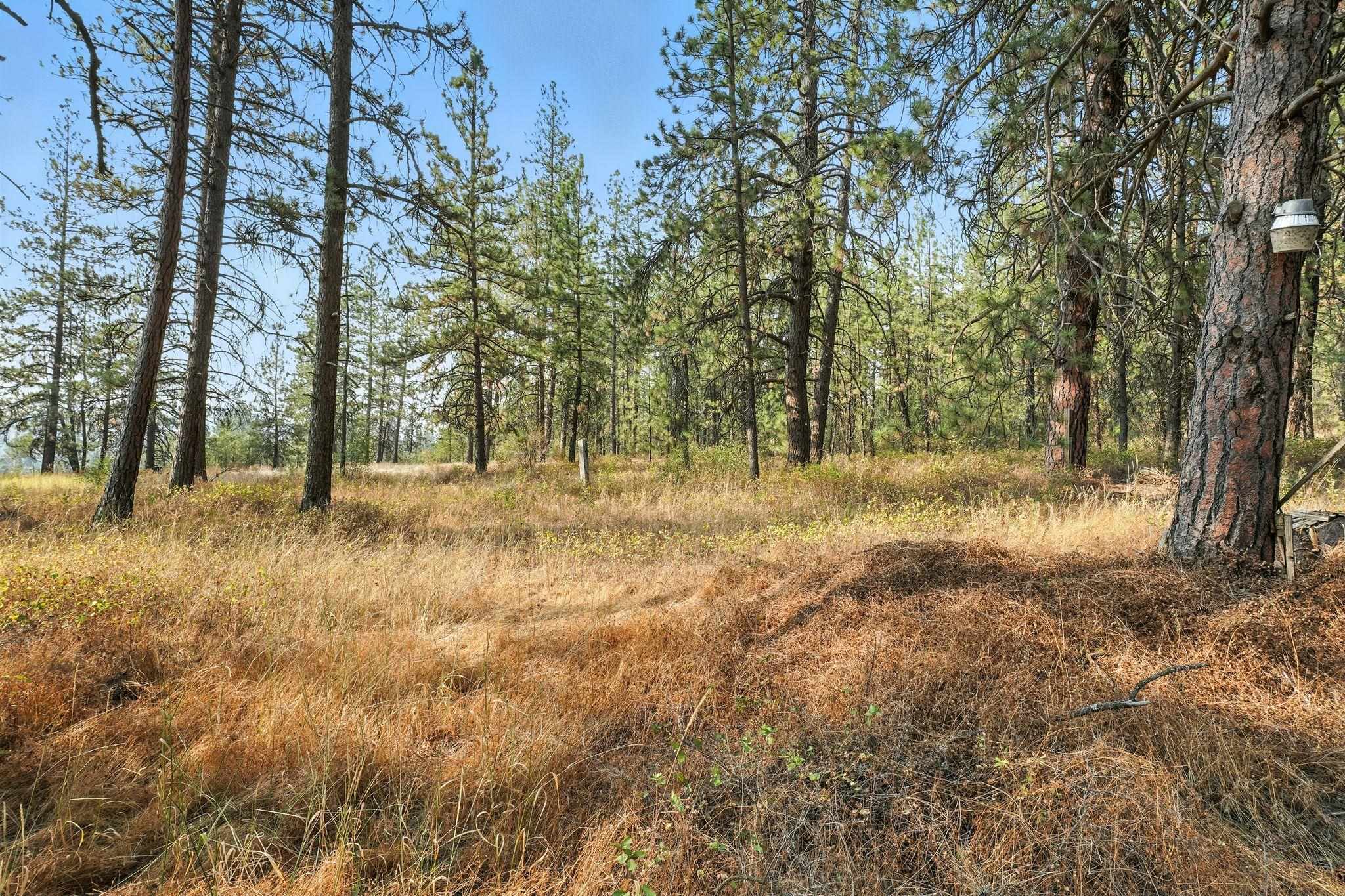12511 Highway 904 Cheney, WA 99004 - Photo 35 of 39