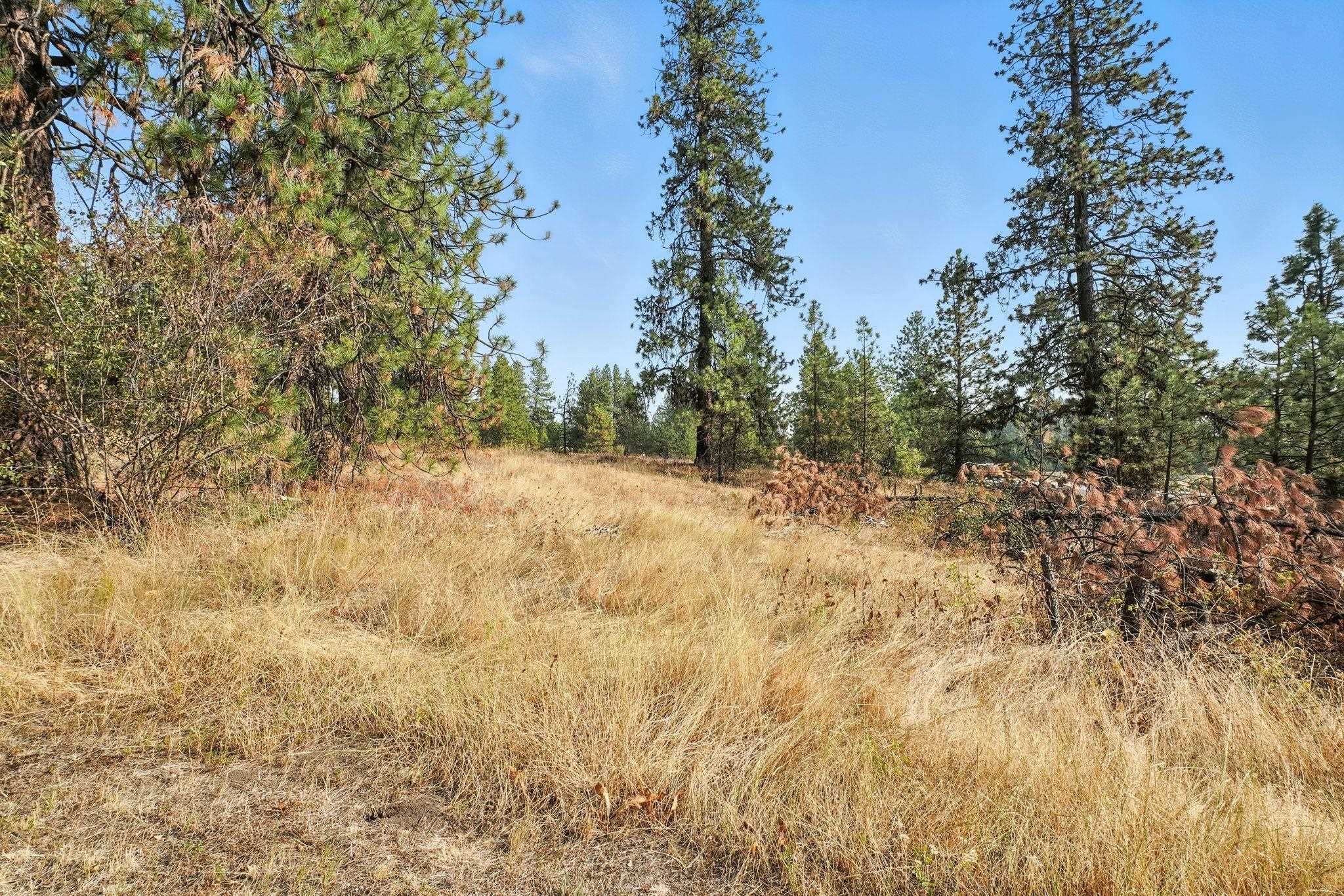 12511 Highway 904 Cheney, WA 99004 - Photo 38 of 39