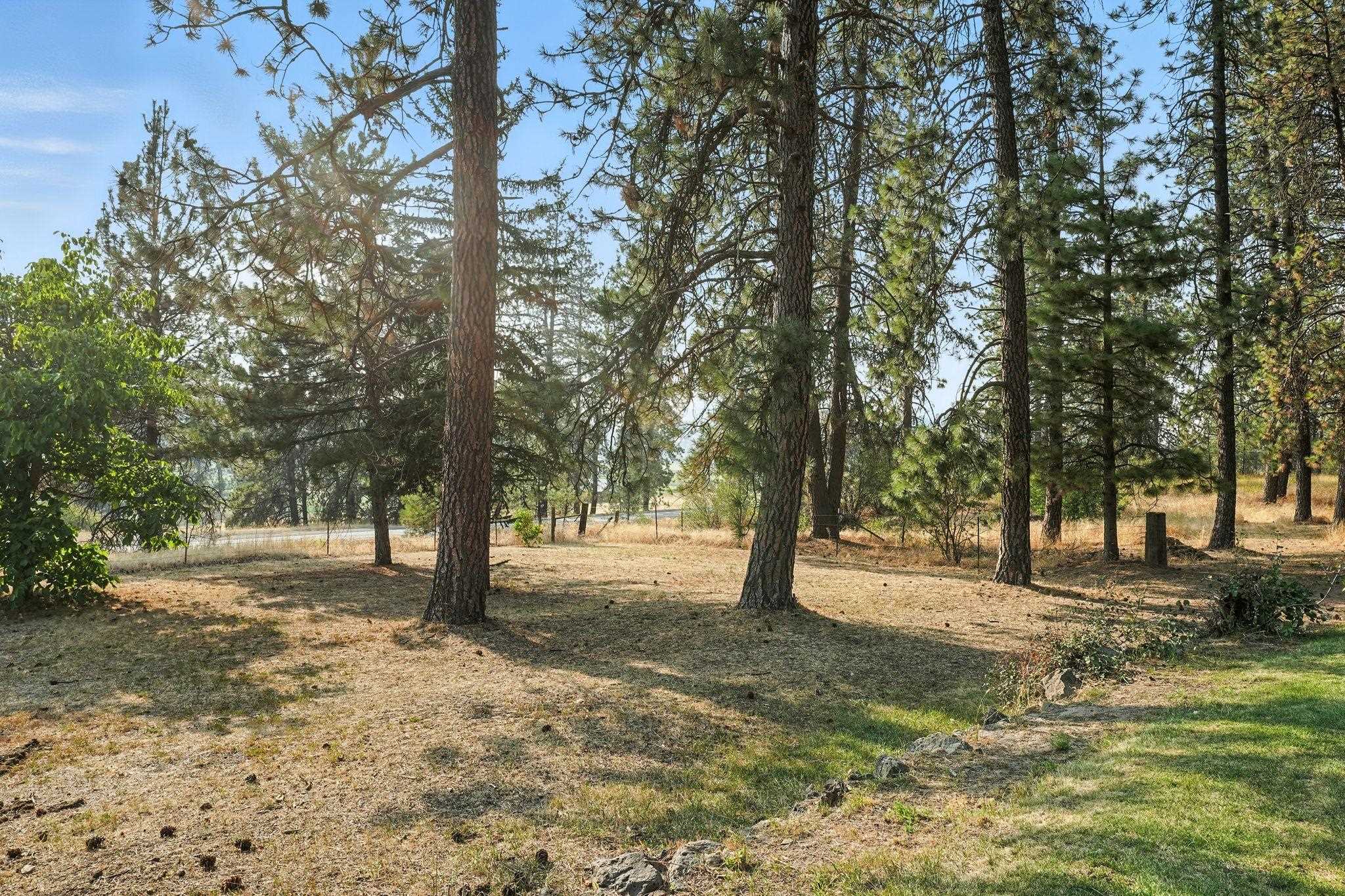 12511 Highway 904 Cheney, WA 99004 - Photo 39 of 39