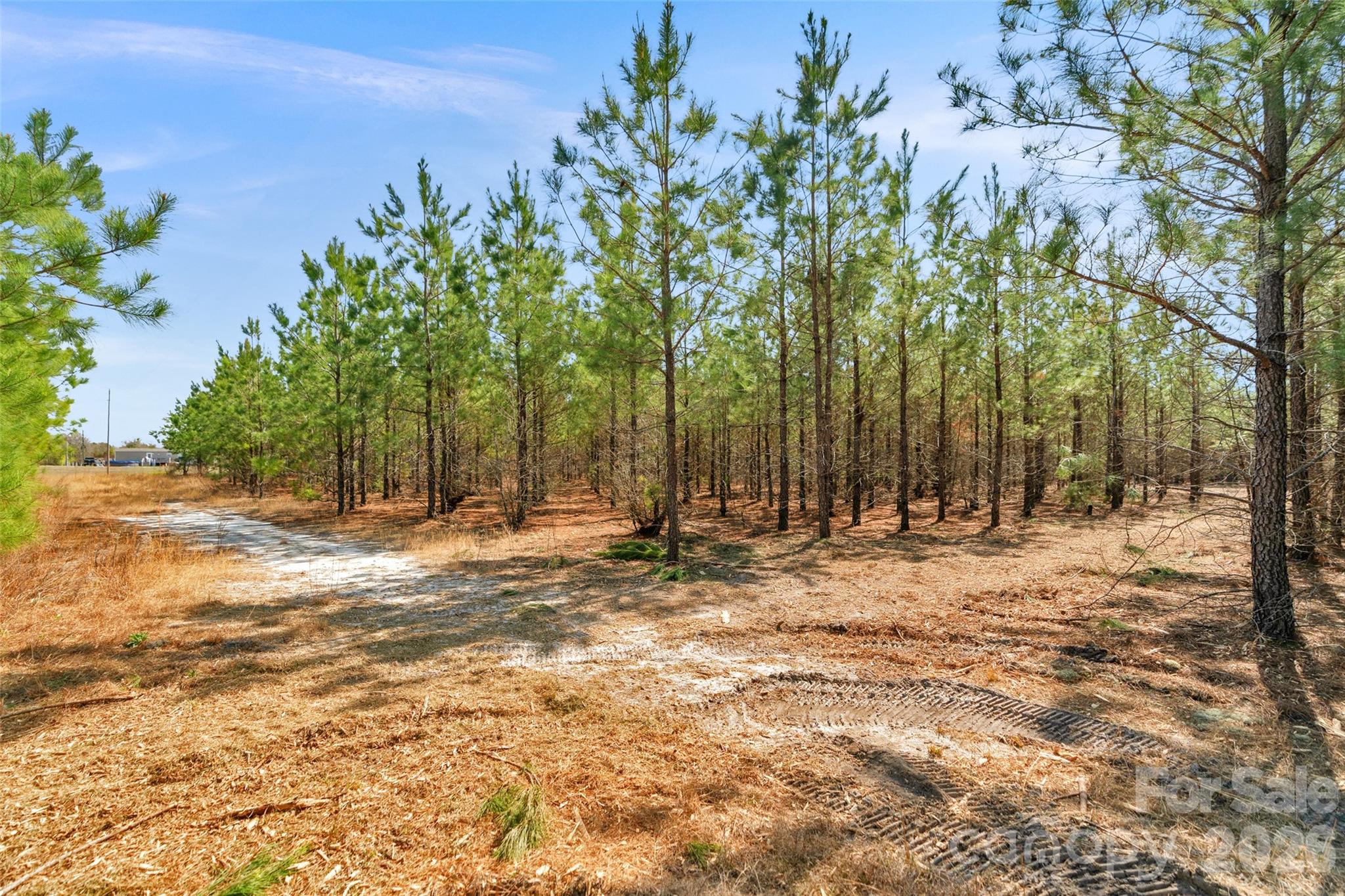 931 Charlie Johnson Road, Unit 10 Kershaw, SC 29067 - Photo 15 of 27