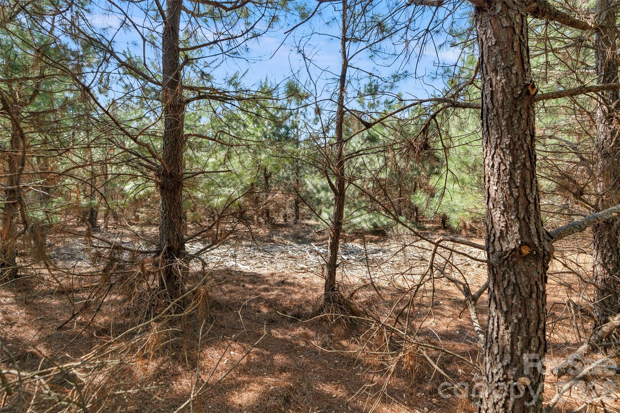 931 Charlie Johnson Road, Unit 10 Kershaw, SC 29067 - Photo 16 of 27