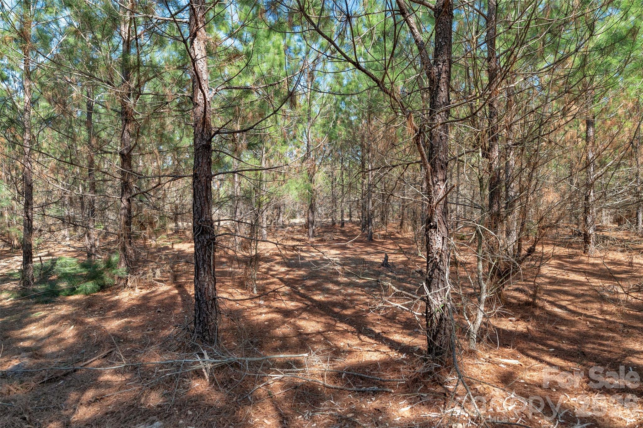 931 Charlie Johnson Road, Unit 10 Kershaw, SC 29067 - Photo 17 of 27