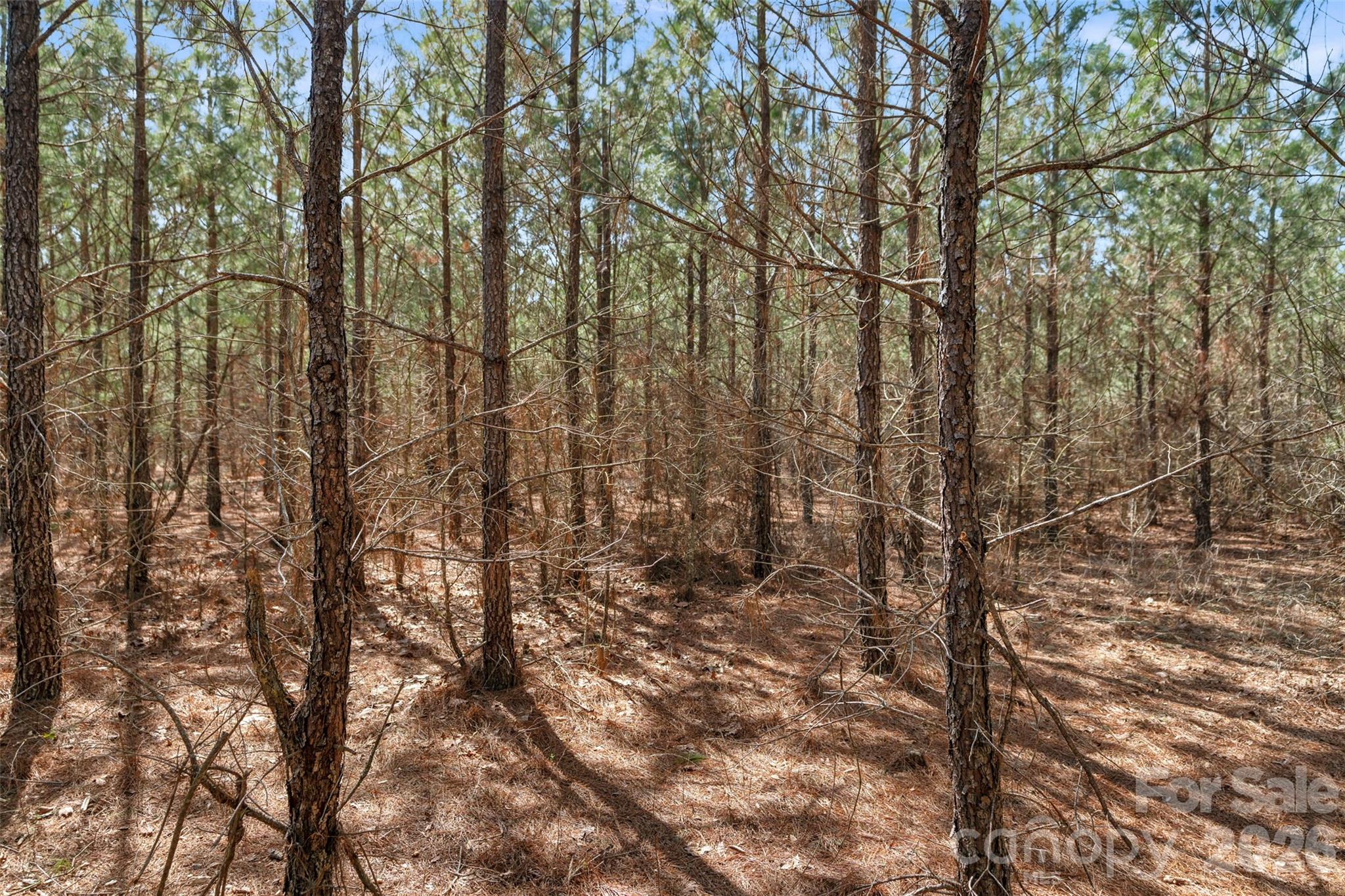 931 Charlie Johnson Road, Unit 10 Kershaw, SC 29067 - Photo 18 of 27
