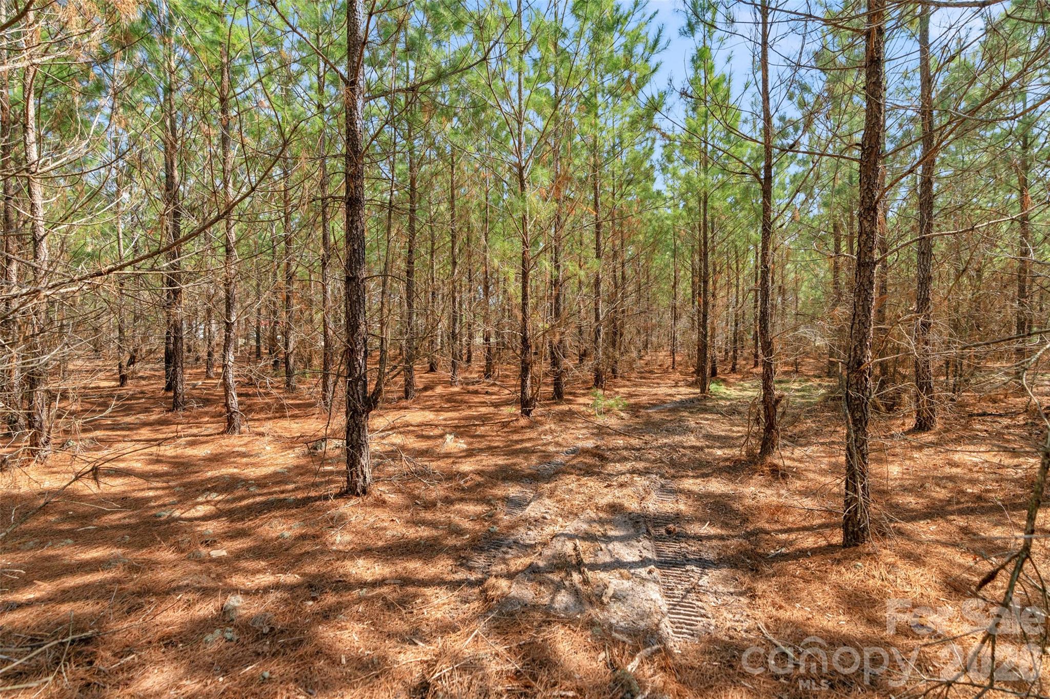 931 Charlie Johnson Road, Unit 10 Kershaw, SC 29067 - Photo 20 of 27