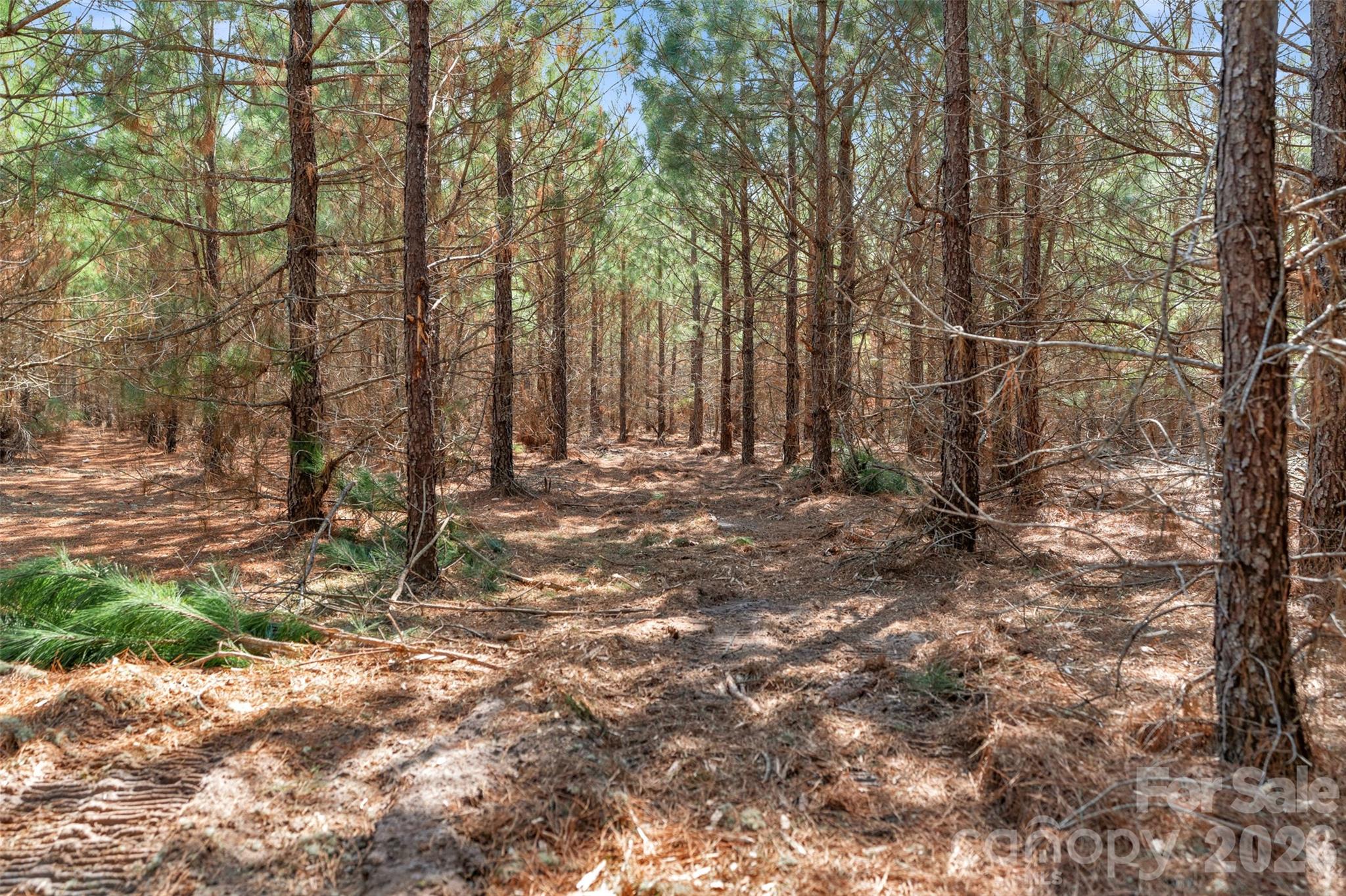 931 Charlie Johnson Road, Unit 10 Kershaw, SC 29067 - Photo 23 of 27