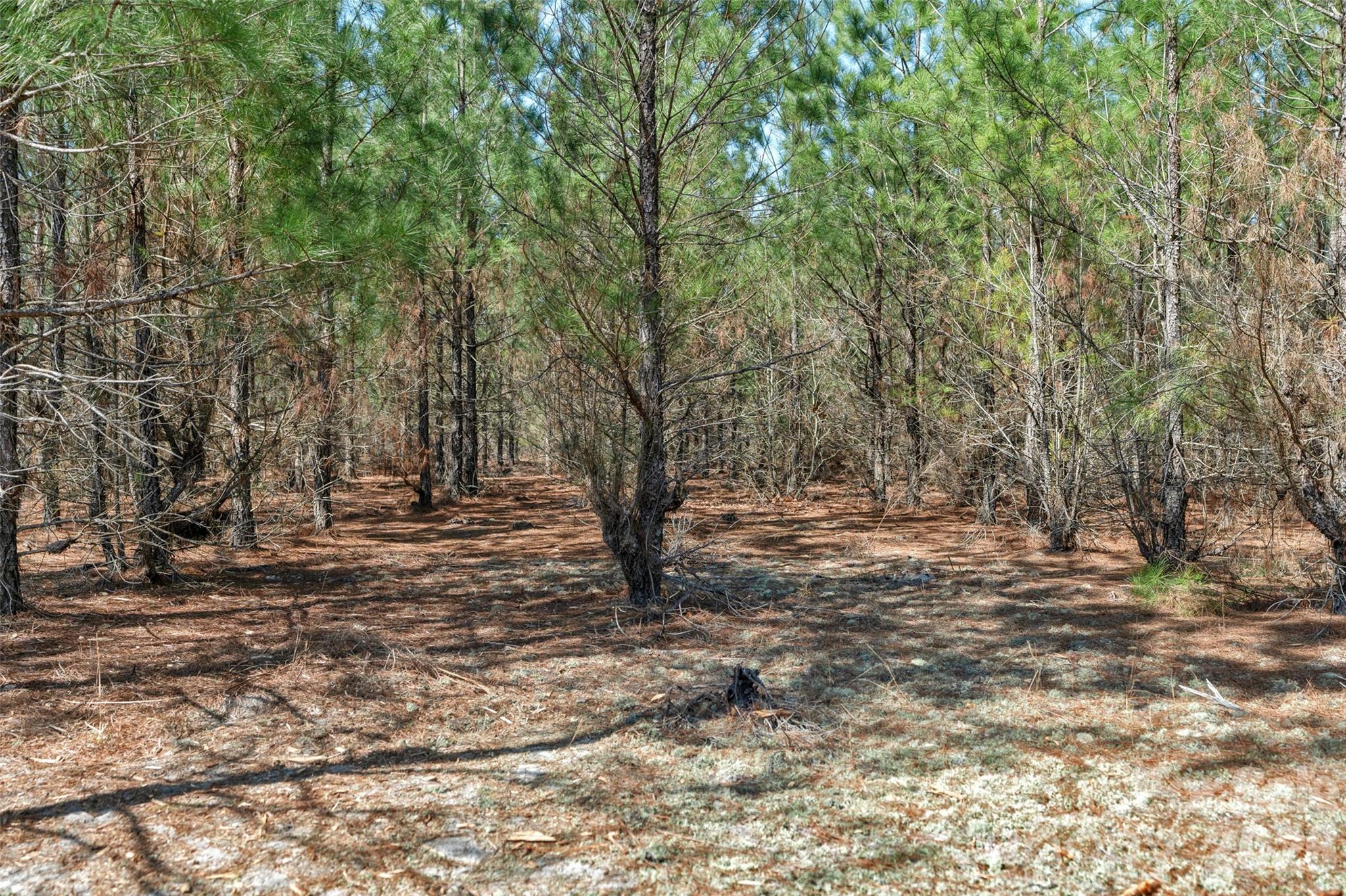 931 Charlie Johnson Road, Unit 10 Kershaw, SC 29067 - Photo 24 of 27