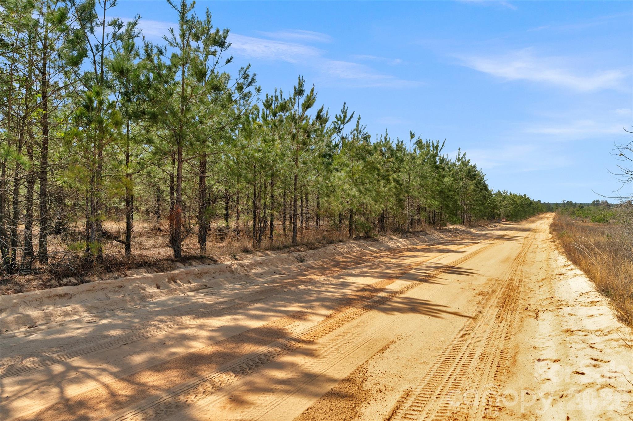 931 Charlie Johnson Road, Unit 10 Kershaw, SC 29067 - Photo 4 of 27