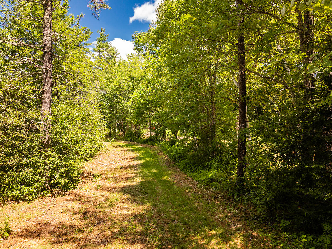 Lot 2 Aldus Shores Road Searsmont, ME 04973 - Photo 7 of 14
