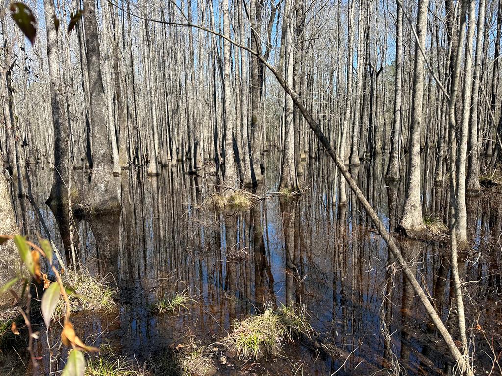 Undisclosed Address Ariton, AL 36311 - Photo 11 of 17