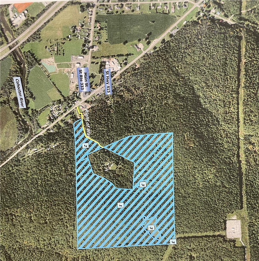 0 State Route 415 Campbell, NY 14821 - Photo 5 of 6