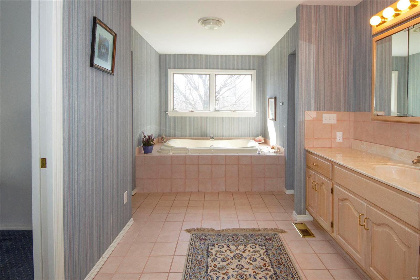 126 Country Trace Road Carbondale, IL 62903 - Photo 19 of 42