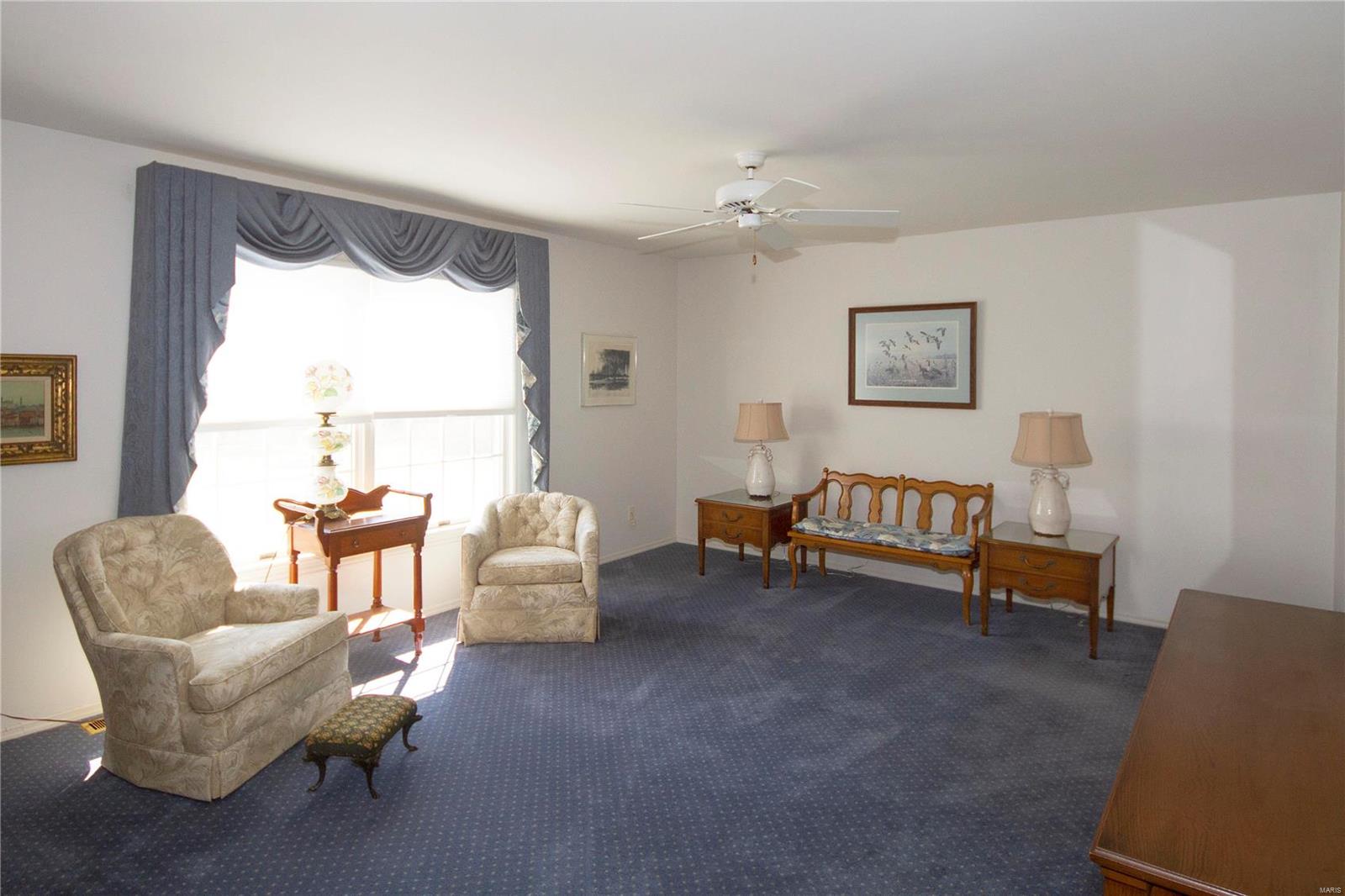 126 Country Trace Road Carbondale, IL 62903 - Photo 25 of 42