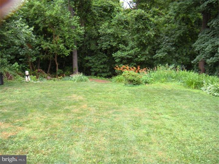 252 West Ridley Avenue Ridley Park, PA 19078 - Photo 5 of 19 Back Yard