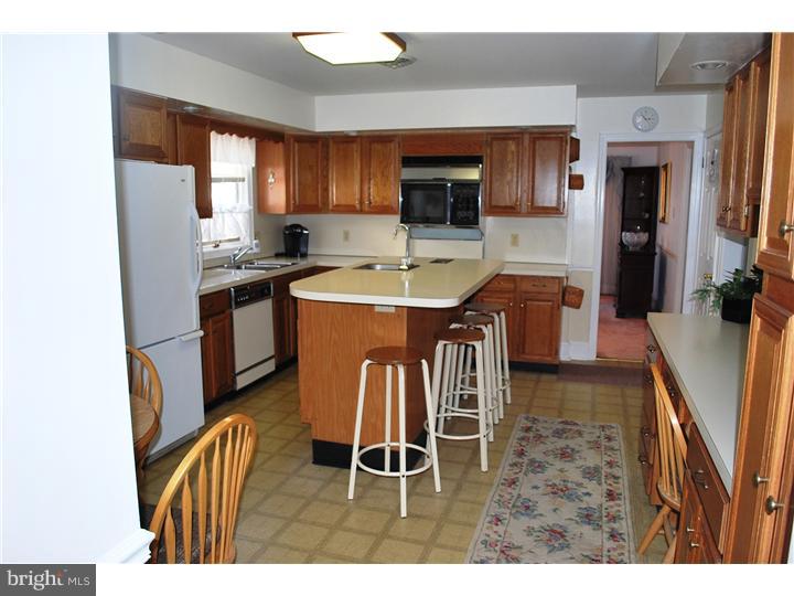 252 West Ridley Avenue Ridley Park, PA 19078 - Photo 9 of 19 Kitchen
