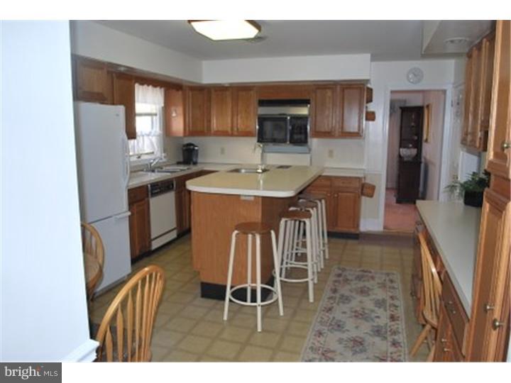 252 West Ridley Avenue Ridley Park, PA 19078 - Photo 10 of 19 Kitchen