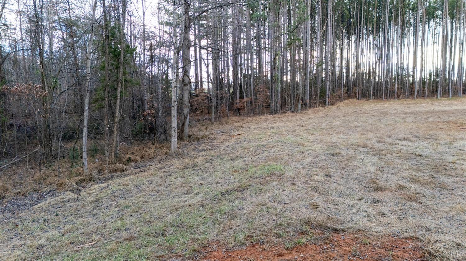 717 Union Hill Road Amherst, VA 24521 - Photo 13 of 17 Gallery Image 13