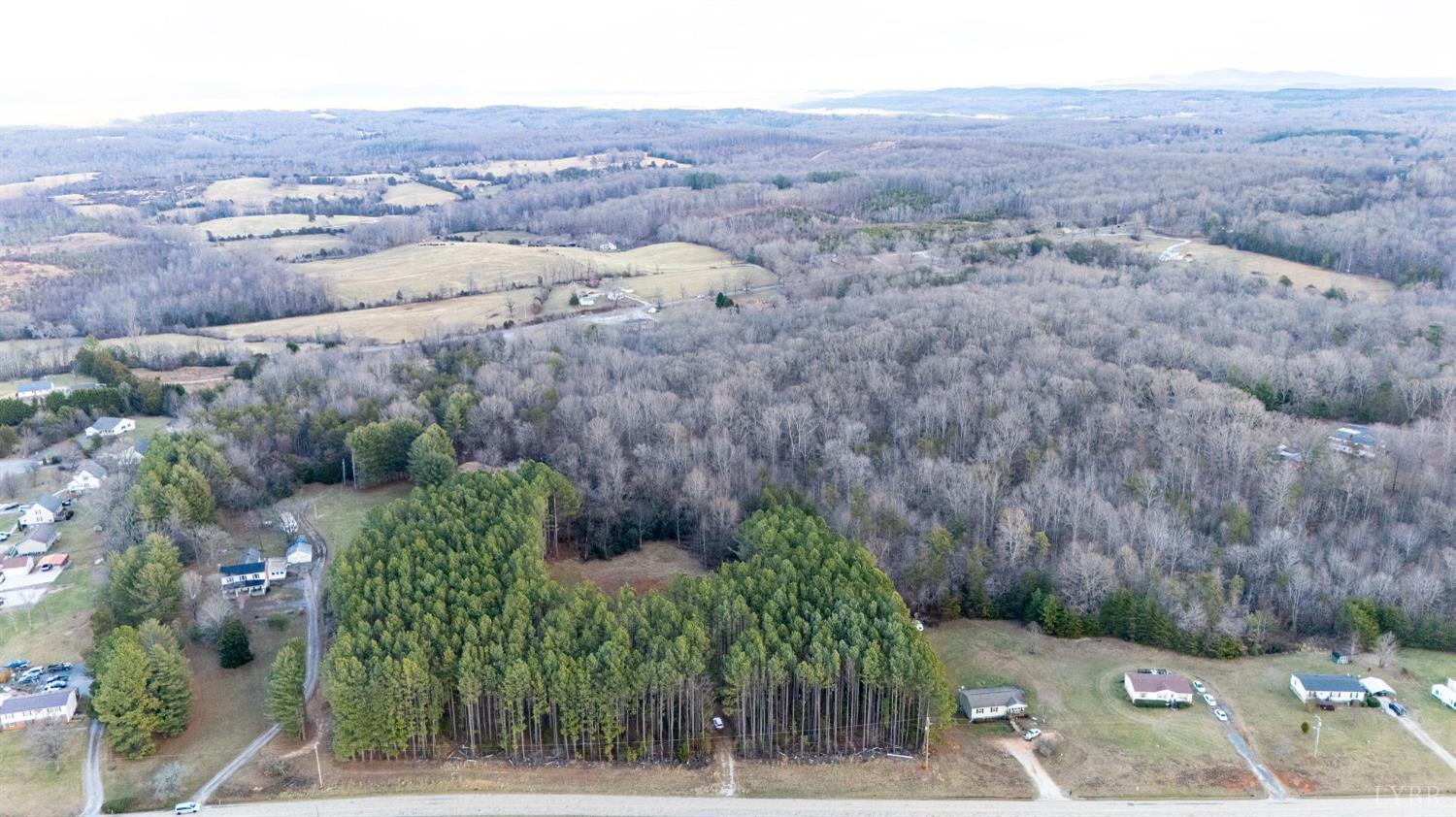 717 Union Hill Road Amherst, VA 24521 - Photo 4 of 17 Gallery Image 4