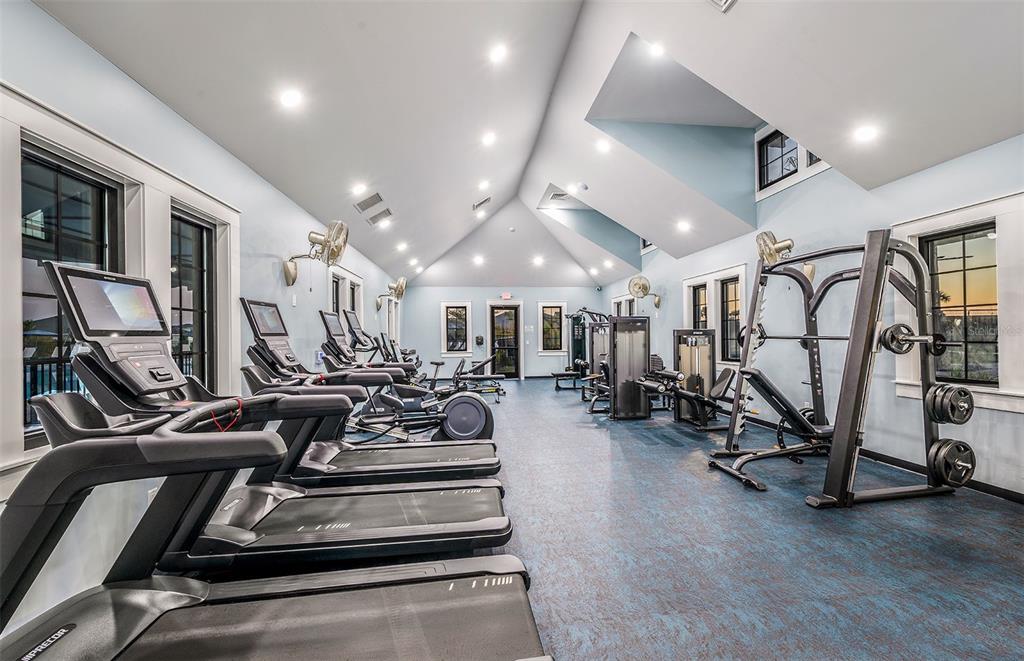 5342 Spring Maiden Circle Apollo Beach, FL 33572 - Photo 19 of 25 a view of a room with gym equipment