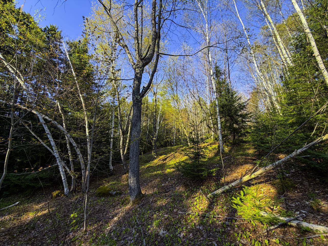 138 Fairview Road Warren, VT 05674 - Photo 41 of 59 Gallery Image 41