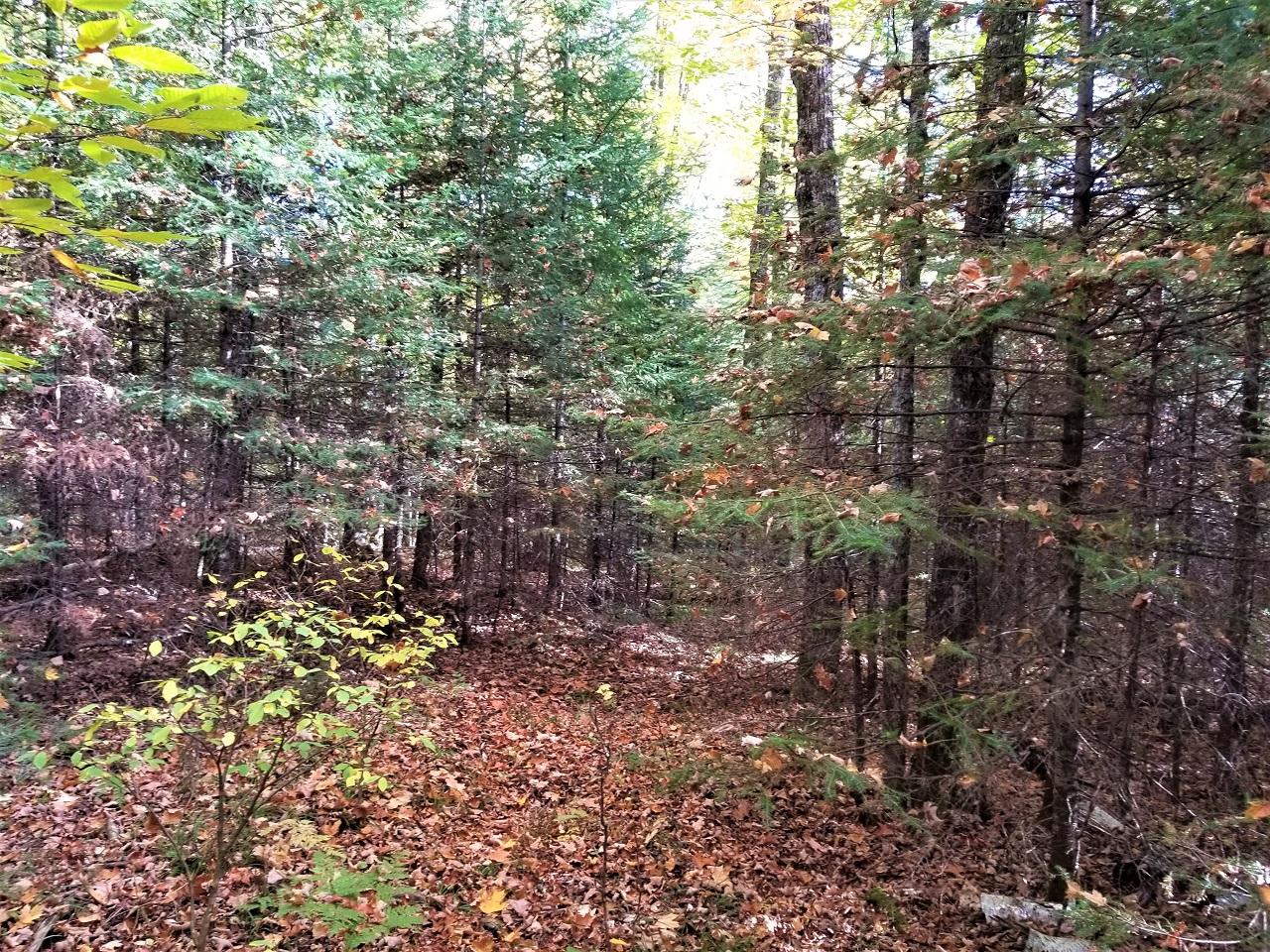 Lot 14 Timberline Road Mercer, WI 54547 - Photo 15 of 18 Gallery Image 15