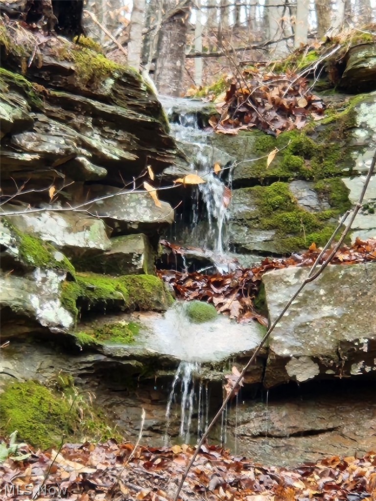 3593 Moore Fork Road Duck, WV 25063 - Photo 25 of 48