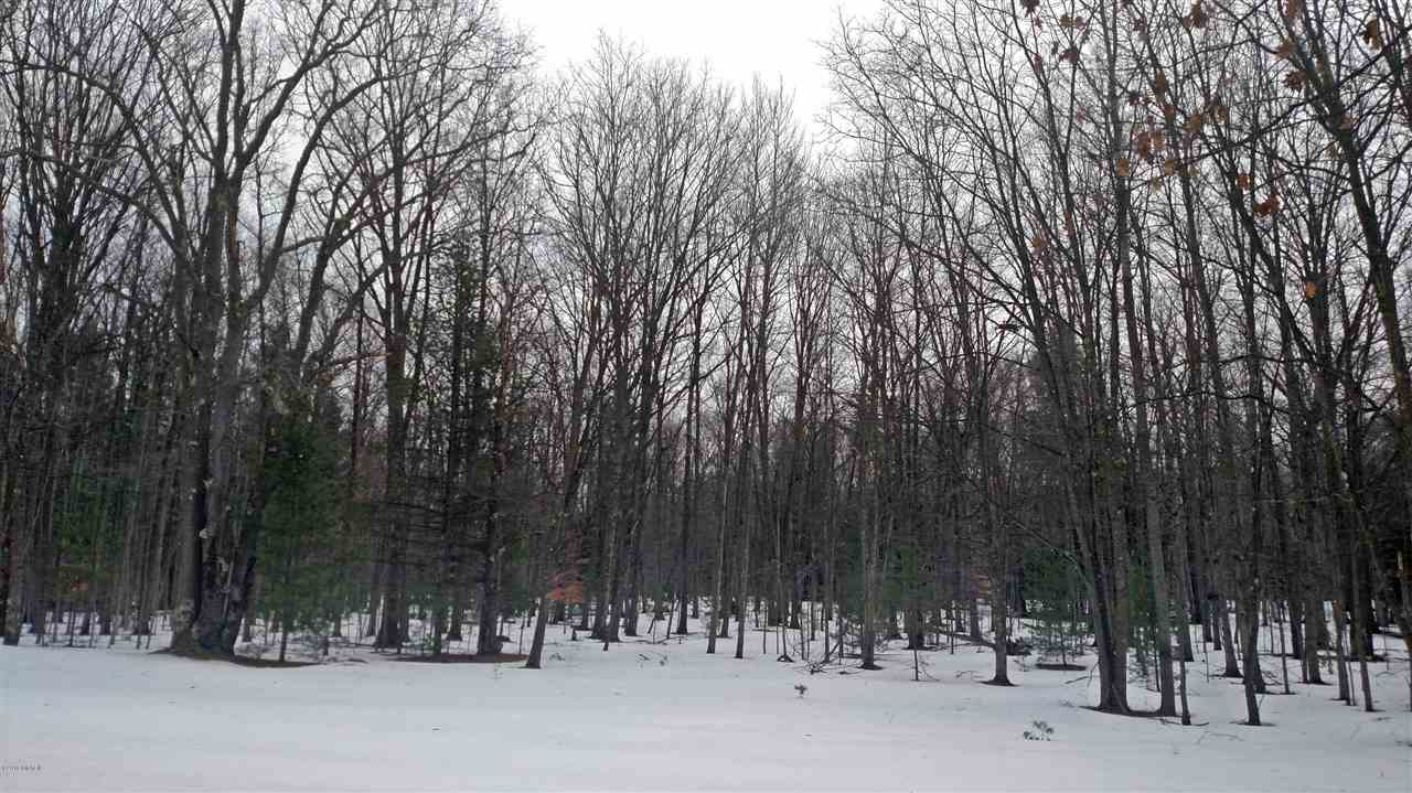 Morton Road, Unit 195 Free Soil, MI 49411 - Photo 8 of 22