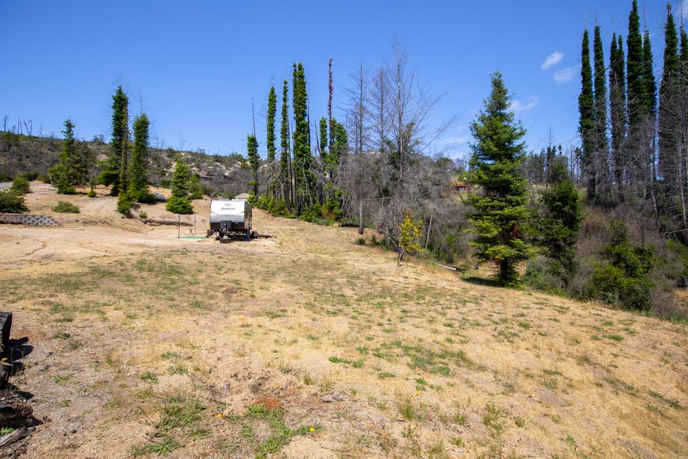 1300 Pinecrest Drive Boulder Creek, CA 95006 - Photo 12 of 18 a row of palm trees and a fire pit in the middle of a yard