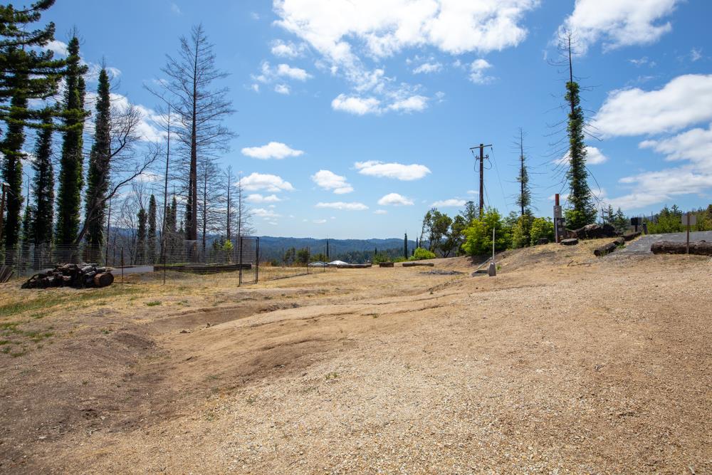 1300 Pinecrest Drive Boulder Creek, CA 95006 - Photo 13 of 18 a view of a backyard of a house