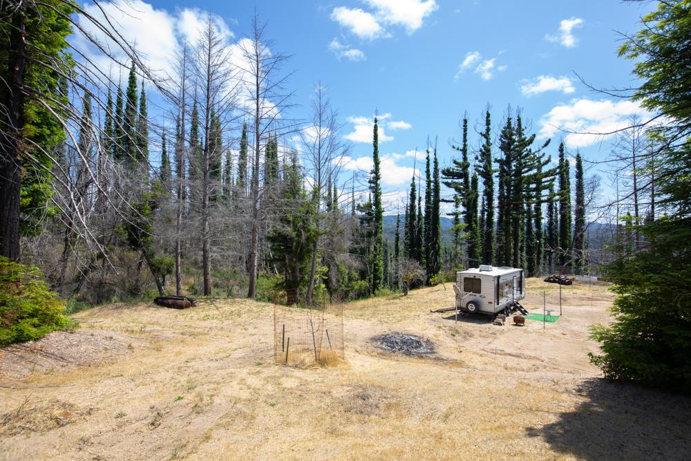 1300 Pinecrest Drive Boulder Creek, CA 95006 - Photo 15 of 18 a view of a outdoor space with trees