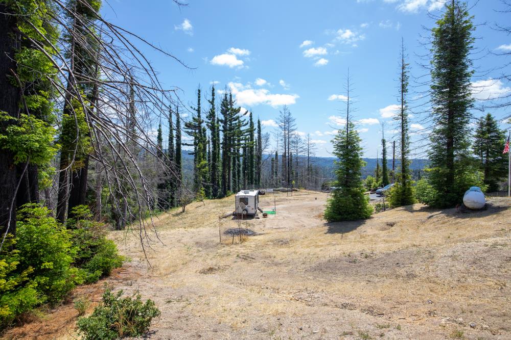 1300 Pinecrest Drive Boulder Creek, CA 95006 - Photo 16 of 18 a view of a snow with a yard