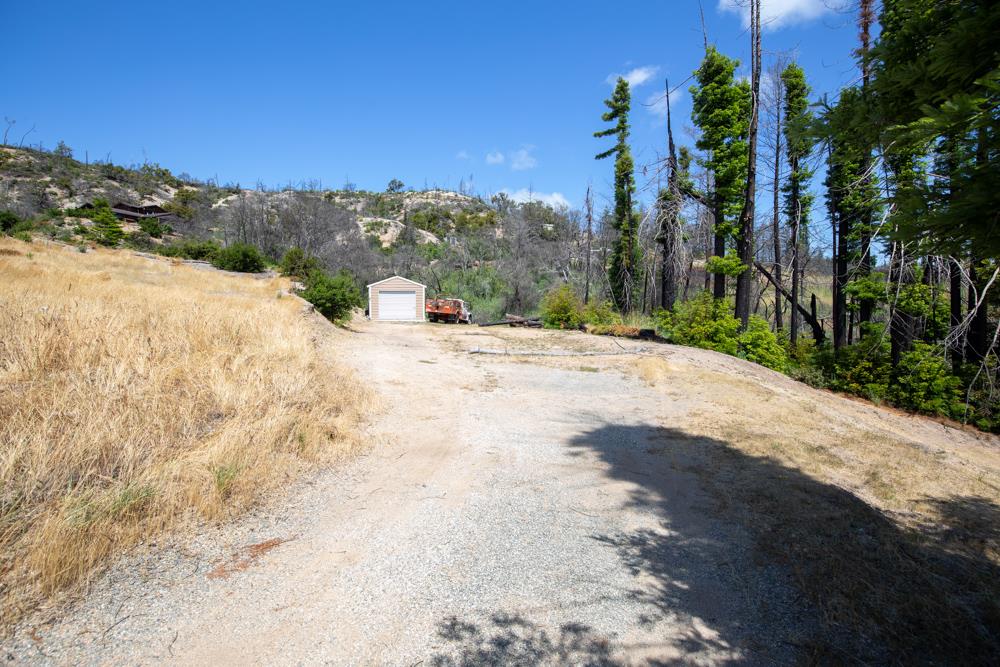 1300 Pinecrest Drive Boulder Creek, CA 95006 - Photo 17 of 18 a view of a backyard of a house