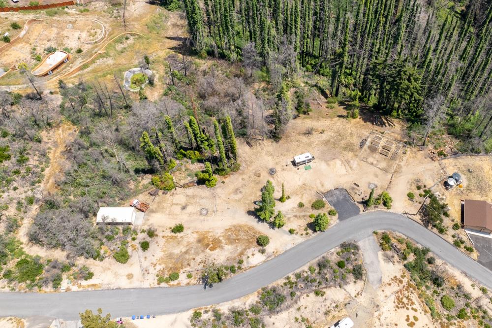 1300 Pinecrest Drive Boulder Creek, CA 95006 - Photo 4 of 18 a view of a yard with flowers