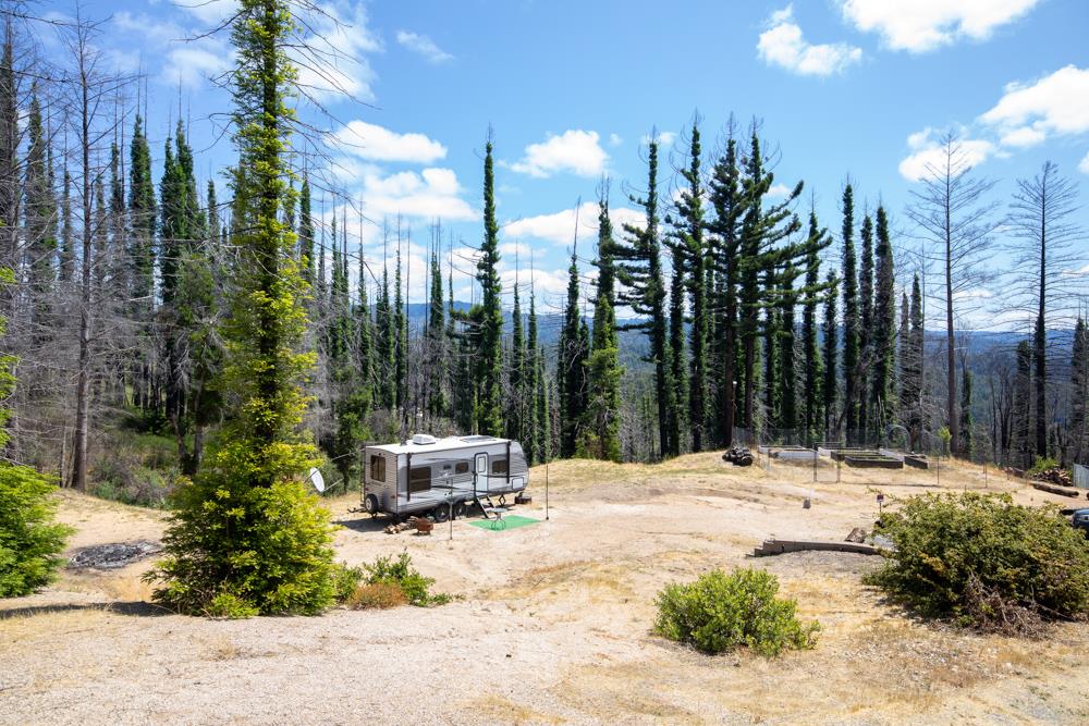 1300 Pinecrest Drive Boulder Creek, CA 95006 - Photo 7 of 18 a swimming pool with lots of palm trees