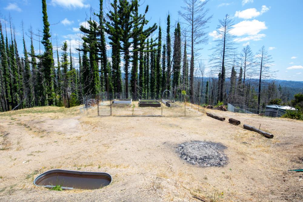 1300 Pinecrest Drive Boulder Creek, CA 95006 - Photo 8 of 18 a view of outdoor space with swimming pool and trees