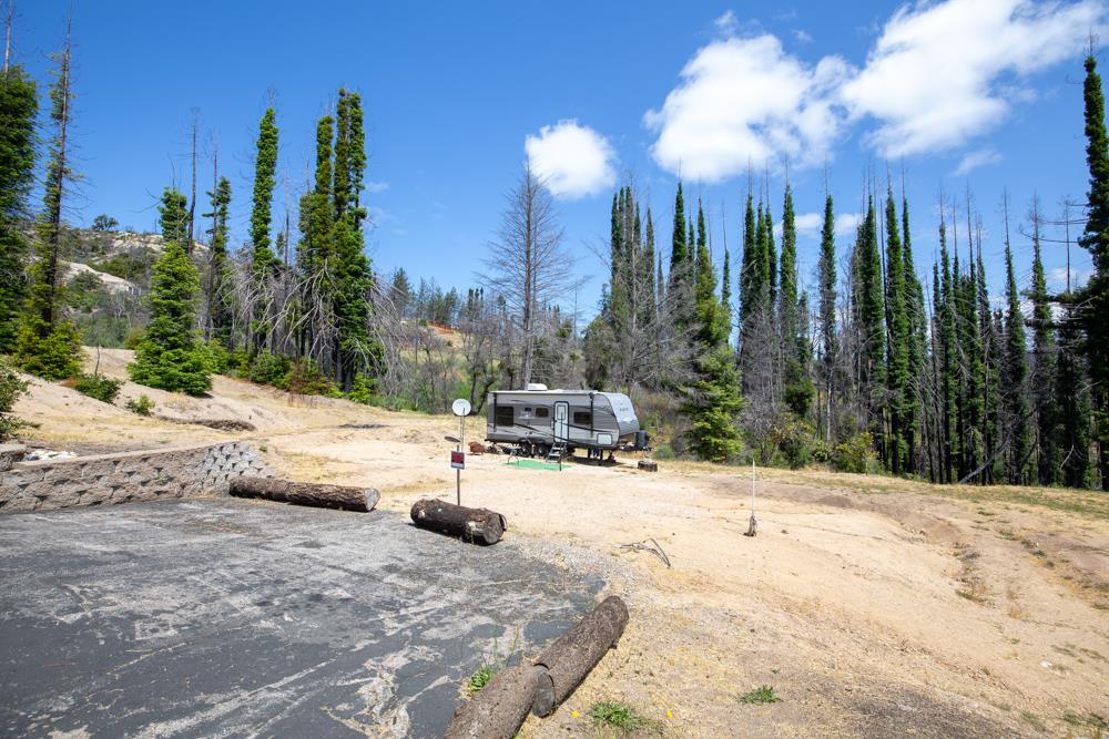 1300 Pinecrest Drive Boulder Creek, CA 95006 - Photo 9 of 18 a view of a walk in the middle of a yard