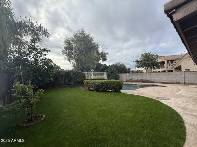 a view of a garden with large trees