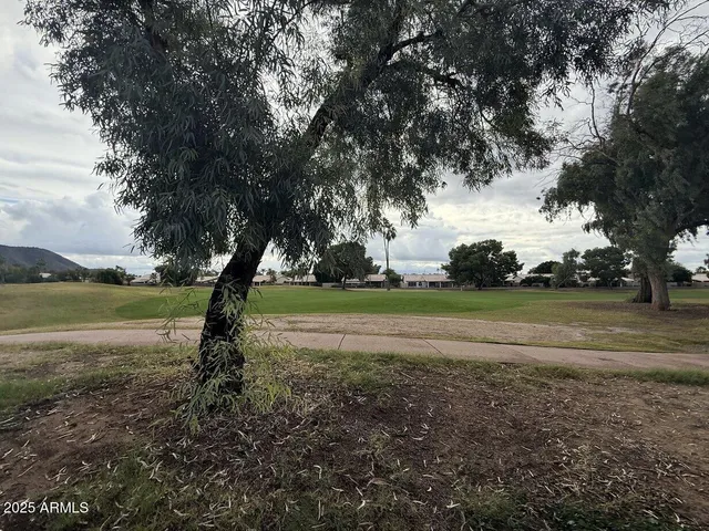 a view of green field with trees