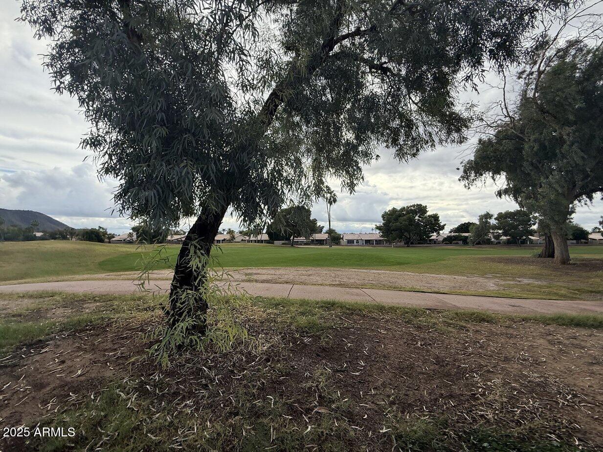 6079 West Irma Lane Glendale, AZ 85308 - Photo 28 of 33 a view of green field with trees