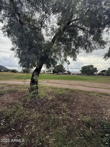a view of a yard with an outdoor space