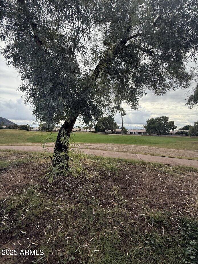 6079 West Irma Lane Glendale, AZ 85308 - Photo 29 of 33 a view of a yard with an outdoor space
