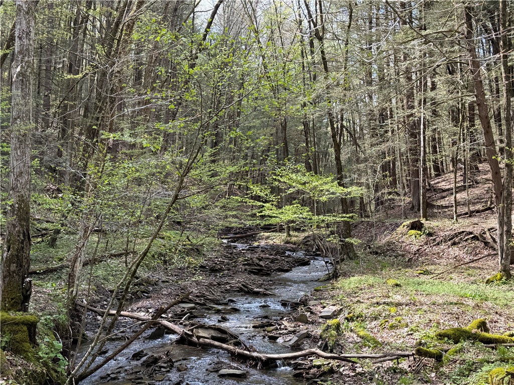 5373 Pig Tail Road Friendship, NY 14739 - Photo 2 of 50