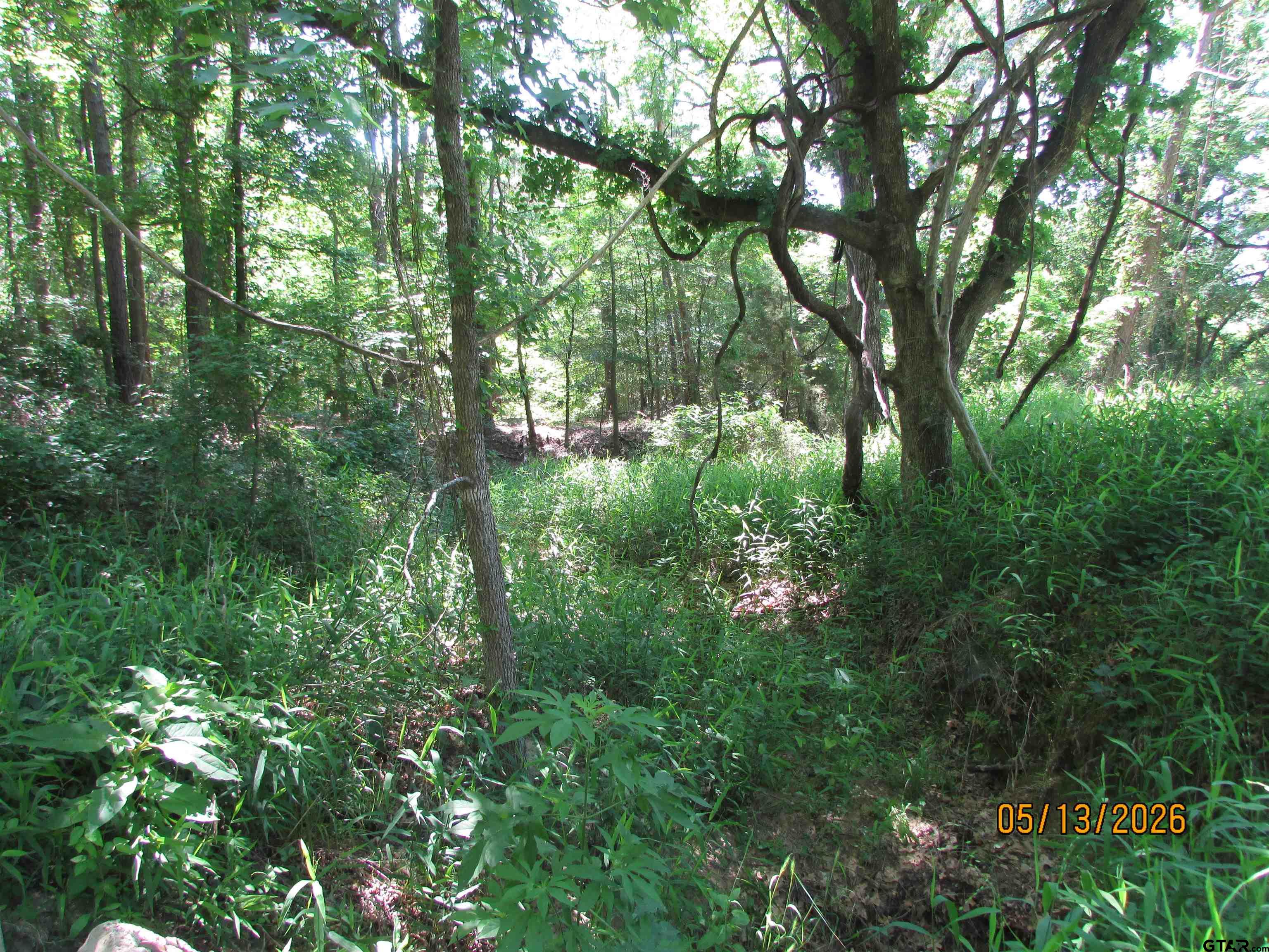 9491 Pleasant Ridge Road Frankston, TX 75763 - Photo 5 of 8