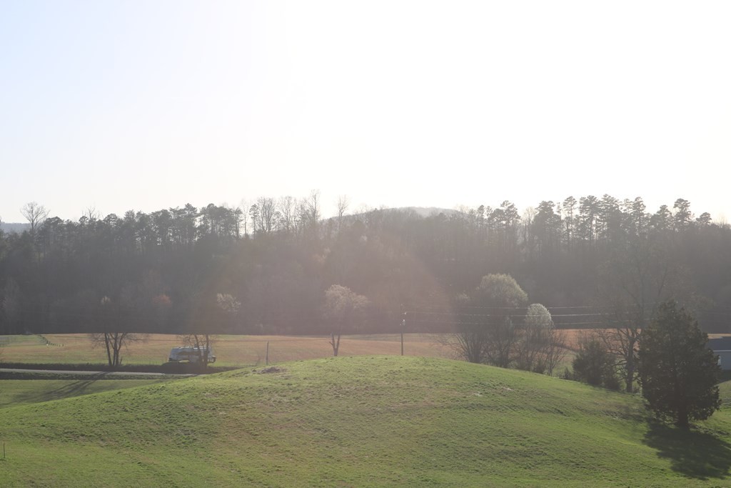 20 County Line Road Sevierville, TN 37876 - Photo 3 of 7 Gallery Image 3