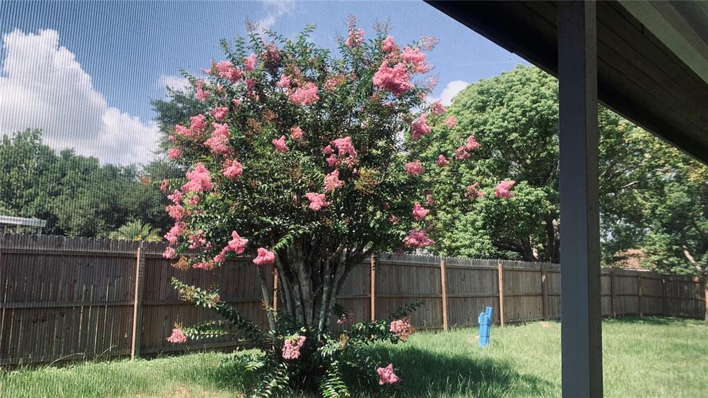 11734 Oswalt Road Clermont, FL 34711 - Photo 5 of 27