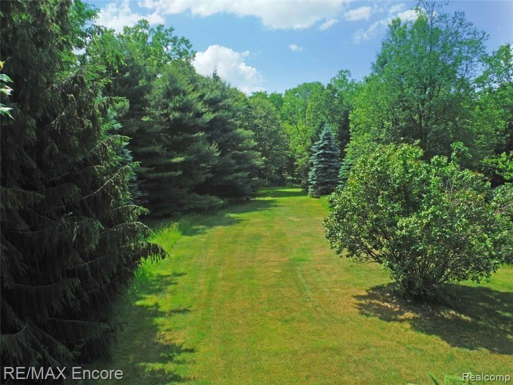 8945 Michigamme Road Clarkston, MI 48348 - Photo 29 of 30 Groomed lawn surrounded with trees
