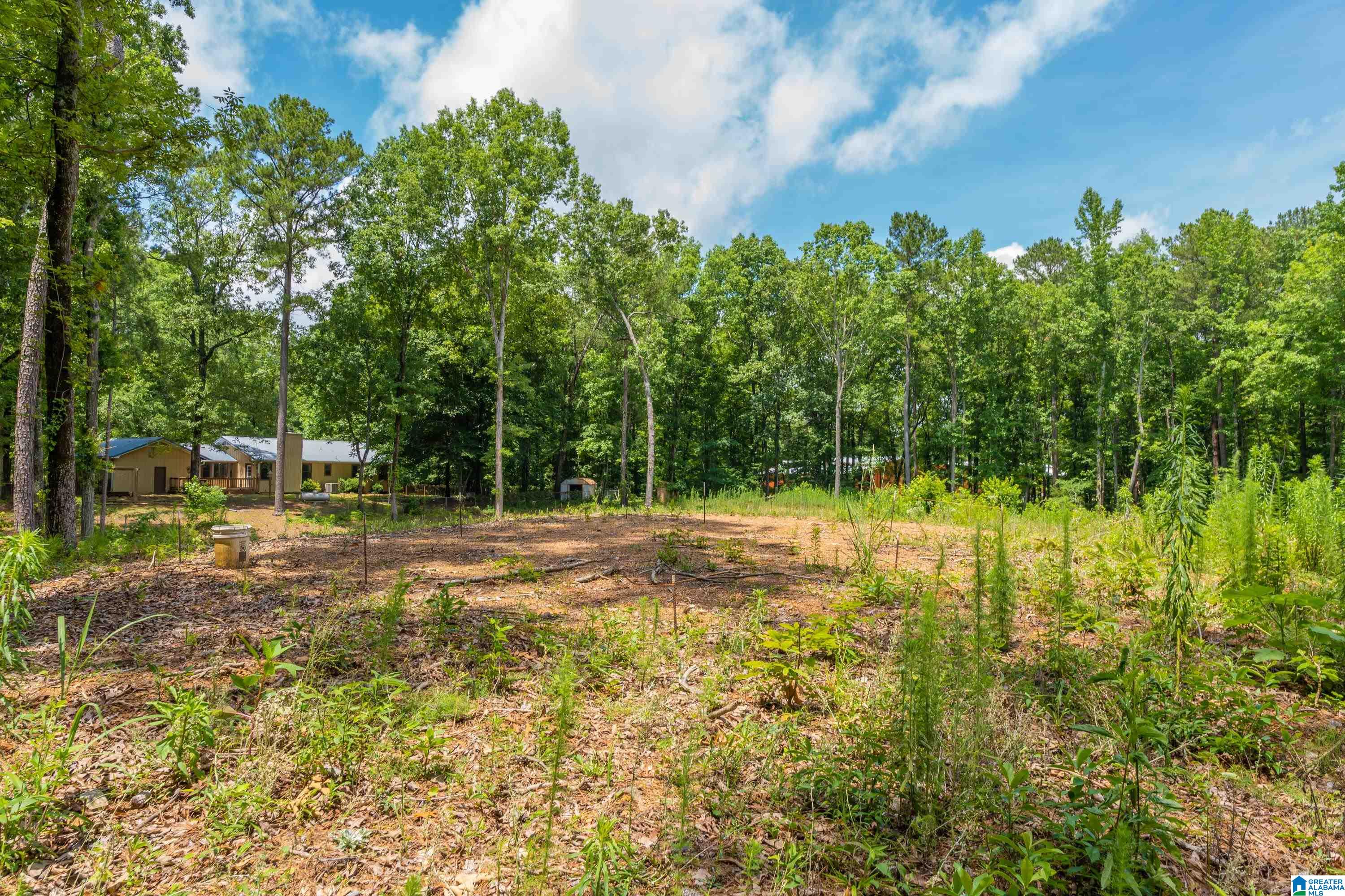 9160 Bear Creek Road Sterrett, AL 35147 - Photo 20 of 28