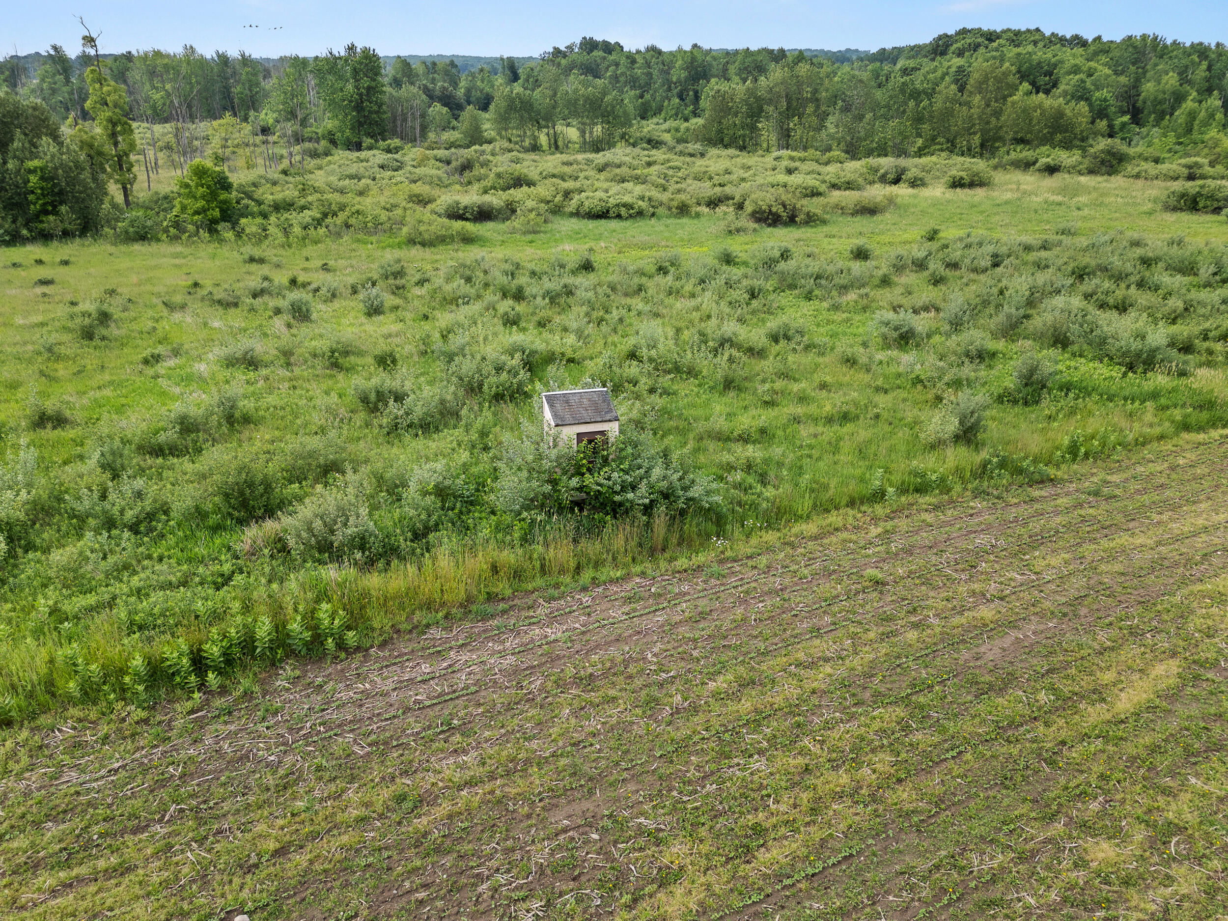 3250 17 Mile Road Barryton, MI 49305 - Photo 18 of 33 A-9 (6)