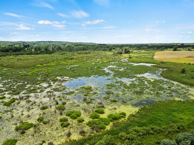 $595,000 | 3250 17 Mile Road, Barryton, MI 49305